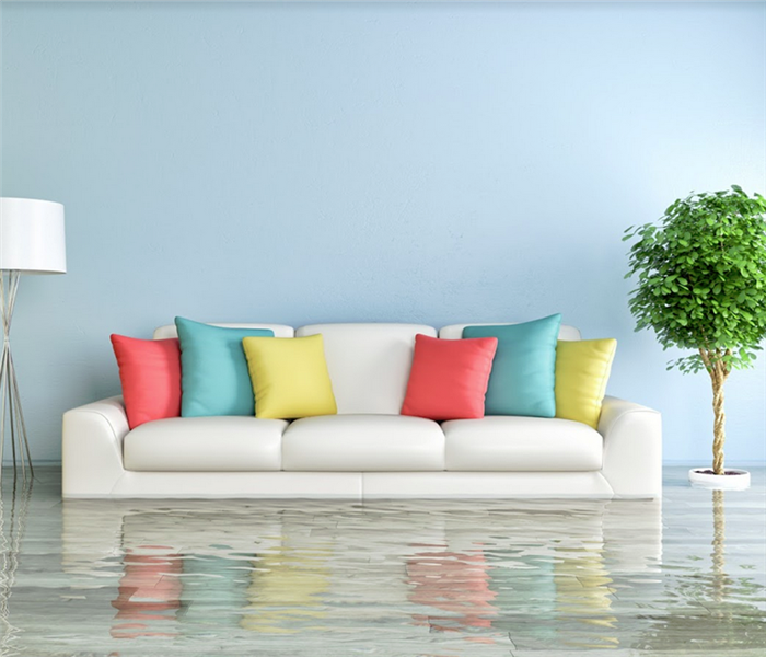 flooded living room with couch and plants floating in the water
