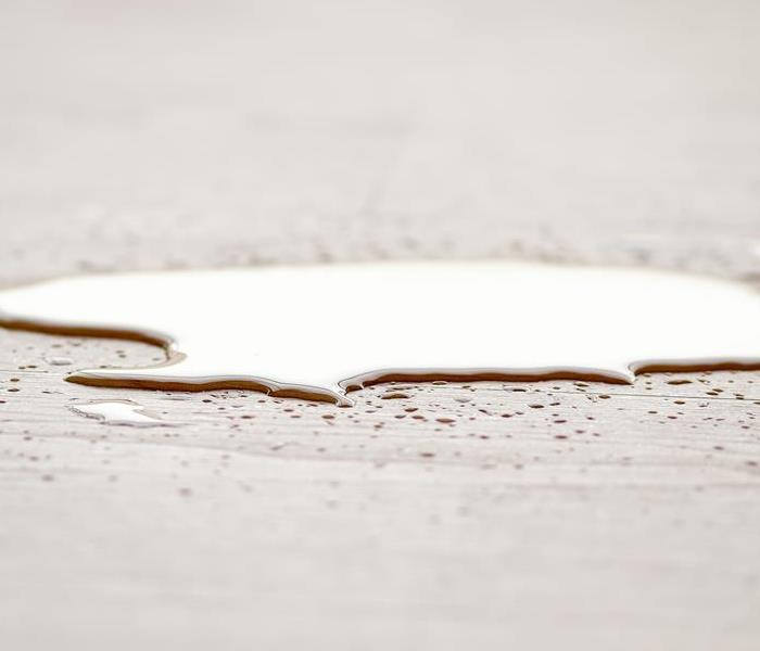 a puddle of water on flooring